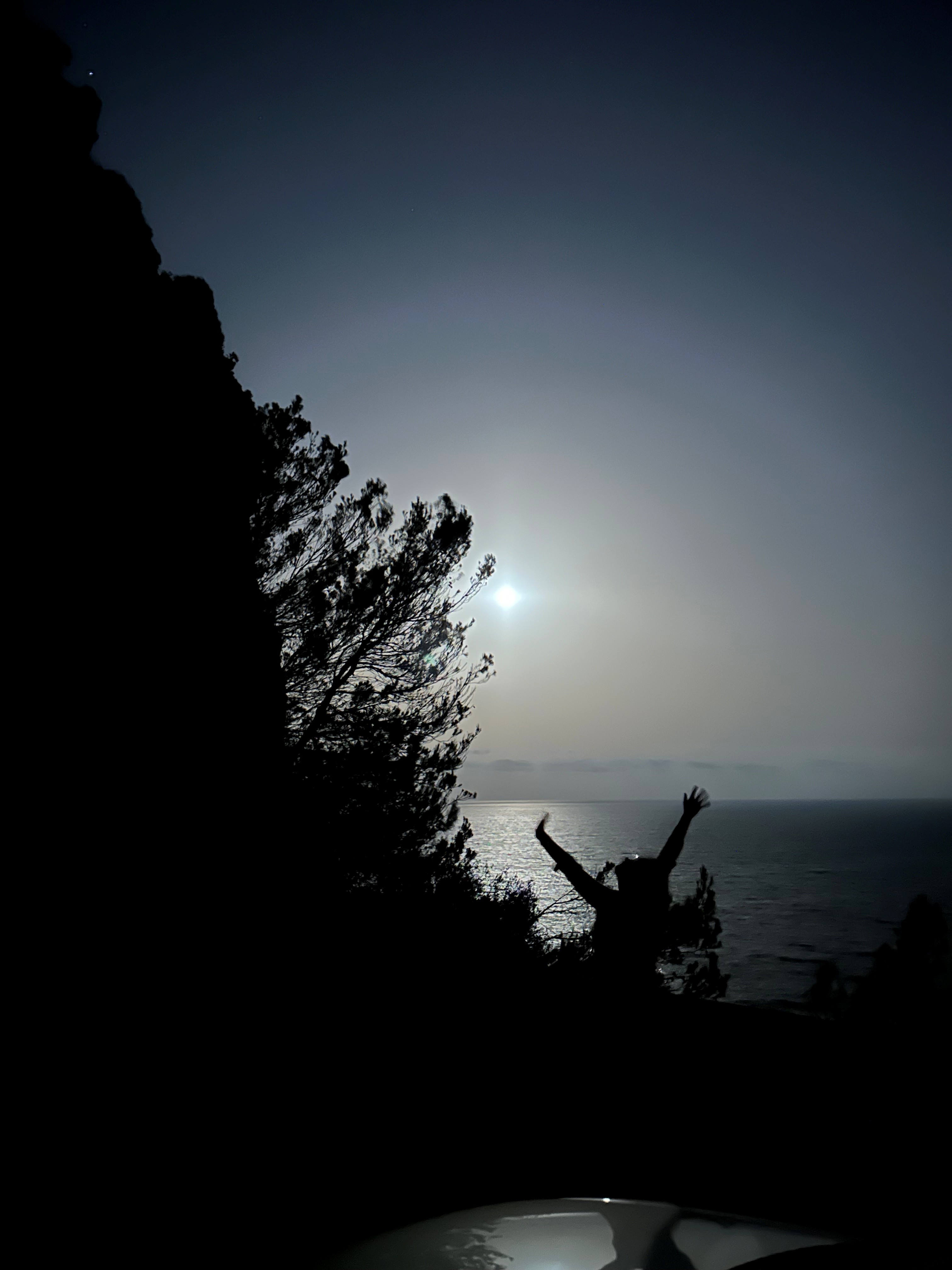Silhouette am Meer bei tiefstehender Sonne